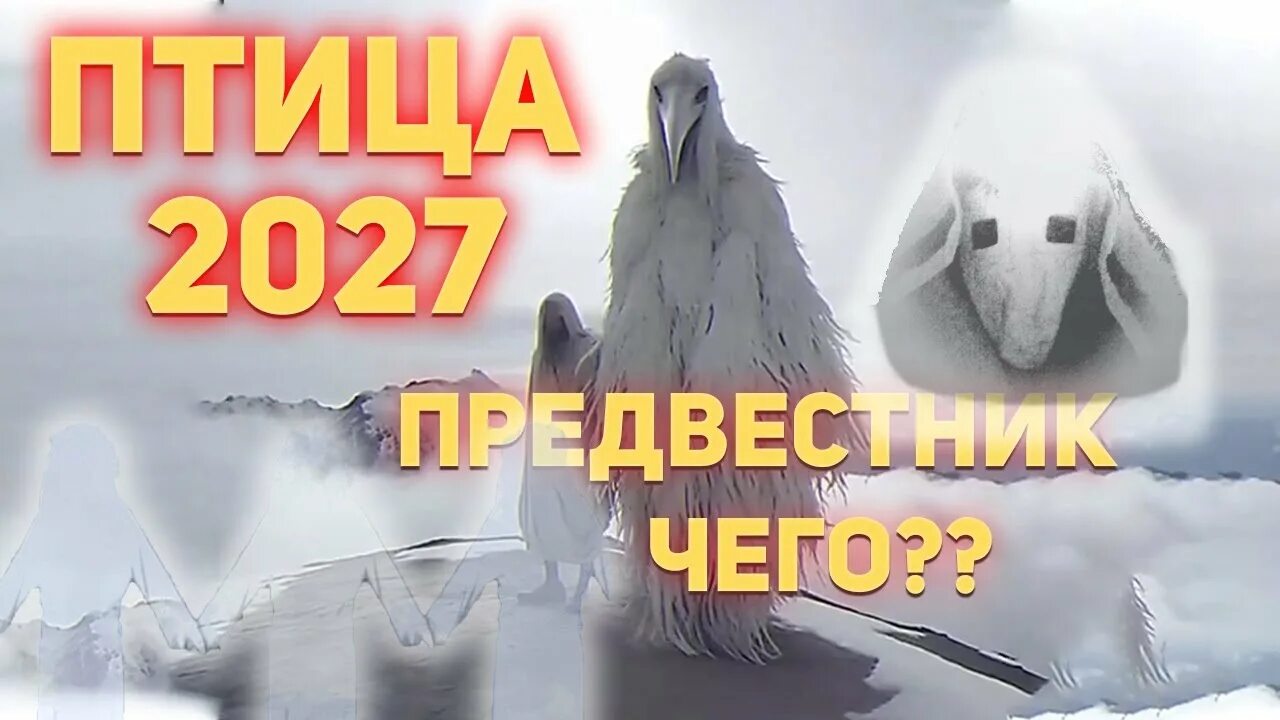 Птица 2027 В Чем Суть Мема? - YouTube