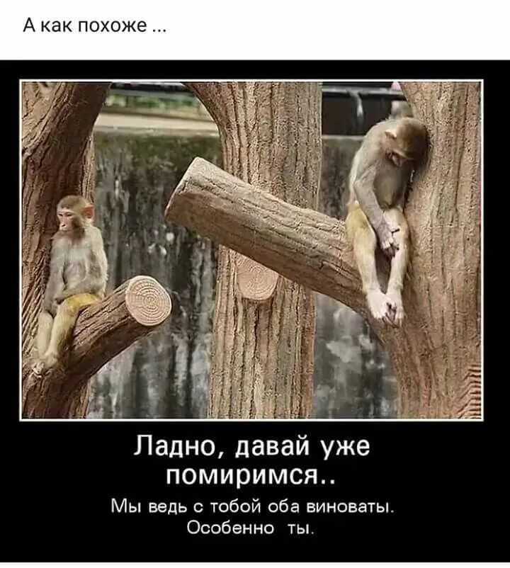 Не хочешь мириться давай. Давай помиримся. давай мириться. давай мириться мы оба виноваты особенно ты. ладно давай мириться.