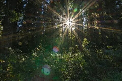 Слепящие лучи
