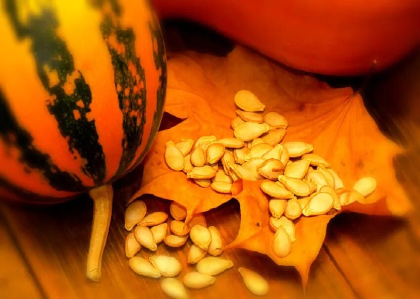 семечки тыквенные. семена тыквы сибель. тыквенные семечки очищенные. тыква "лечебная". тыквенные семена неочищенные.