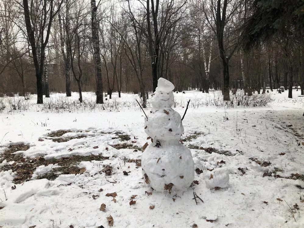 Почему без снега. Зима без снега. Декабрь без снега. Зима без снега Снеговик. Снеговик на земле без снега.