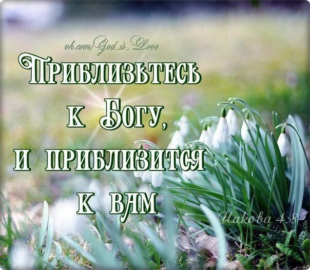 Утро с цитатами из библии христианские открытки. Христианские открытки со словом Божьим. Открытки из Библии с благословениями. Христианские пожелания в пост. Христианские пожелания из Библии на день.