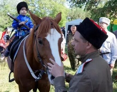 Жизнь казачества