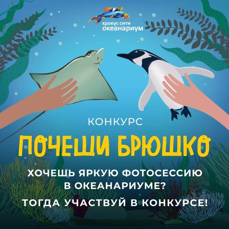 Листовка океанариум. Крокус Сити океанариум Москва. Океанариум Крокус промокод. Океанариум Крокус Сити промокод.