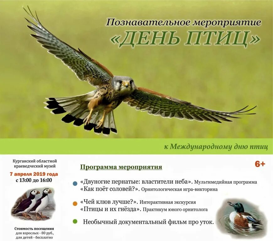 афиша петя и волк. синяя птица афиша. мужчина с птицей. мальчик птица. день птиц мероприятия.