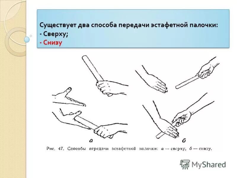 Эстафетный бег передача эстафетной палочки