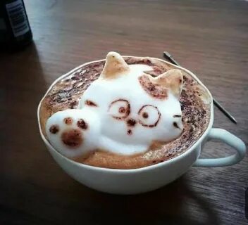Какао кот