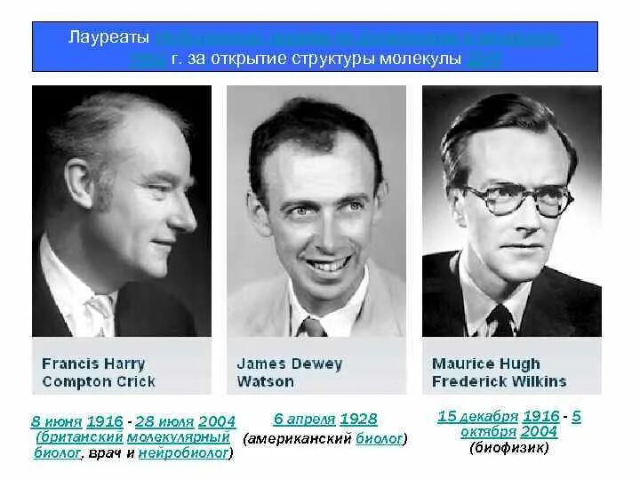 Нобелевская премия за открытие днк. Открытие структуры молекулы днк (уотсон и крик, 1953). Нобелевская премия за открытие днк. Нобелевская премия за открытие днк. Нобелевская премия за открытие днк.