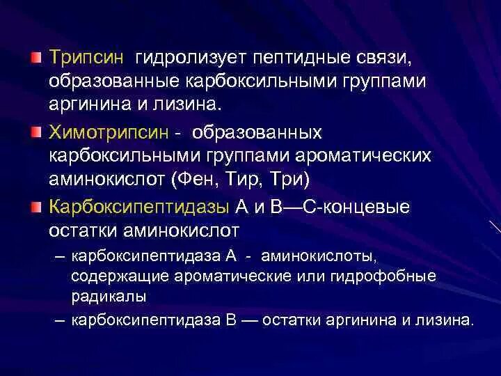 Трипсин гидролизует пептидные связи образованные. Трипсин расщепляет пептидные связи образованные. Трипсин гидролизует. Химотрипсин гидролизует пептидные связи образованные.