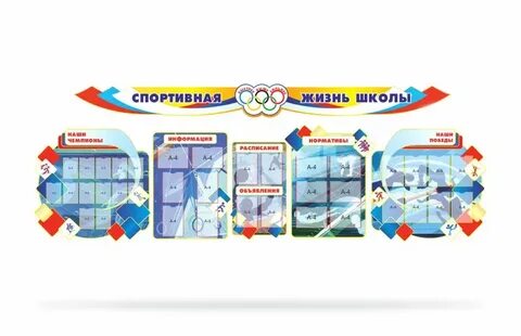 Спортивная жизнь школы