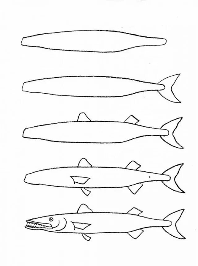 Щука рисунок. Поэтапное рисование рыбы. Поэтапное рисование щуки. Как нарисовать щуку.