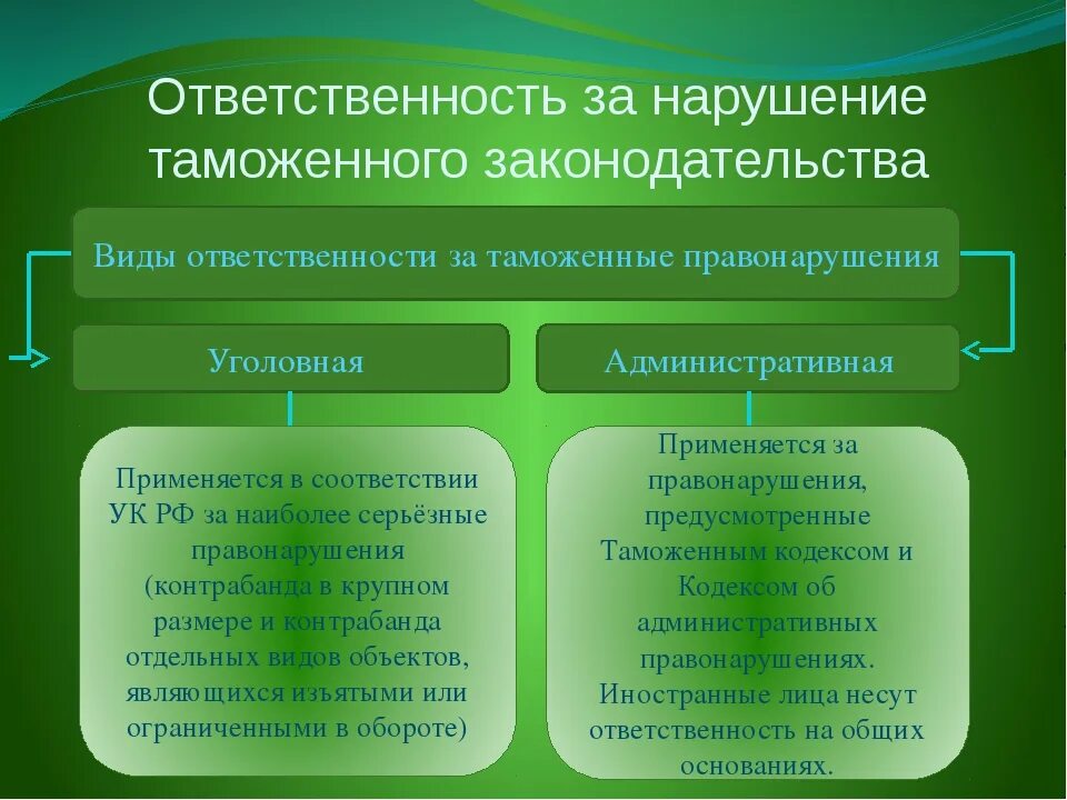 Ответственность за нарушение валютного. Уголовные преступления в сфере таможенного дела. Ответственность за таможенные правонарушения. Ответственность за нарушение таможенных правил. Административная ответственность в сфере таможенного дела.