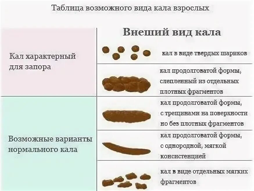 Причина зеленого цвета кала у человека. Норма цвета кала у ребенка в 2 года. Нормальный цвет кала.