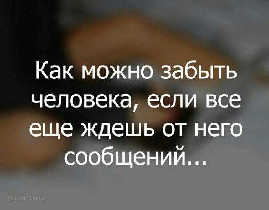 Фраза забыли. Как можно забыть человека. Цитаты про забыть человека. Сложно забыть человека. Забыть цитаты.