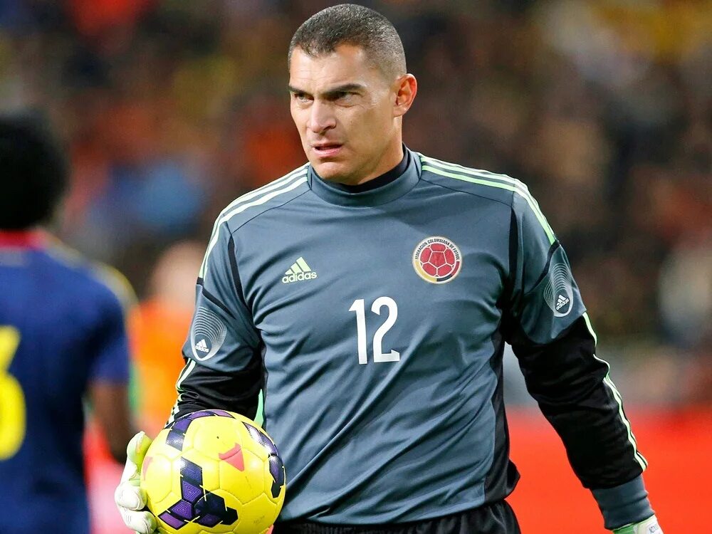 Mondragon. Мандрагон. Вилла мондрагоне фраскати. Мондрагон хиропрактик. Мондрагонская кооперативная корпорация.