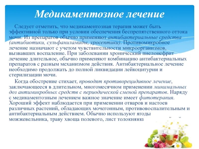 Пиелонефрит лечение народными средствами. Профилактика при пиелонефрите. Фитотерапия при пиелонефрите. Хронический пиелонефрит фитотерапия. Противорецидивная терапия хронического пиелонефрита.