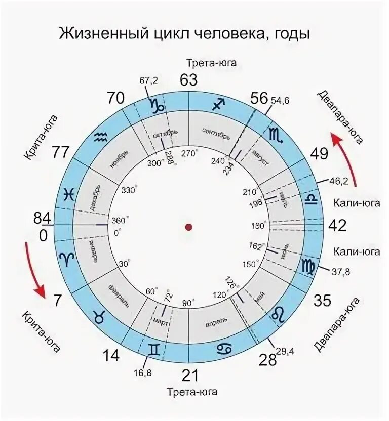 Цикл в 46 лет. Кризисы и семилетние циклы развития человека. семилетние циклы в жизни человека.
