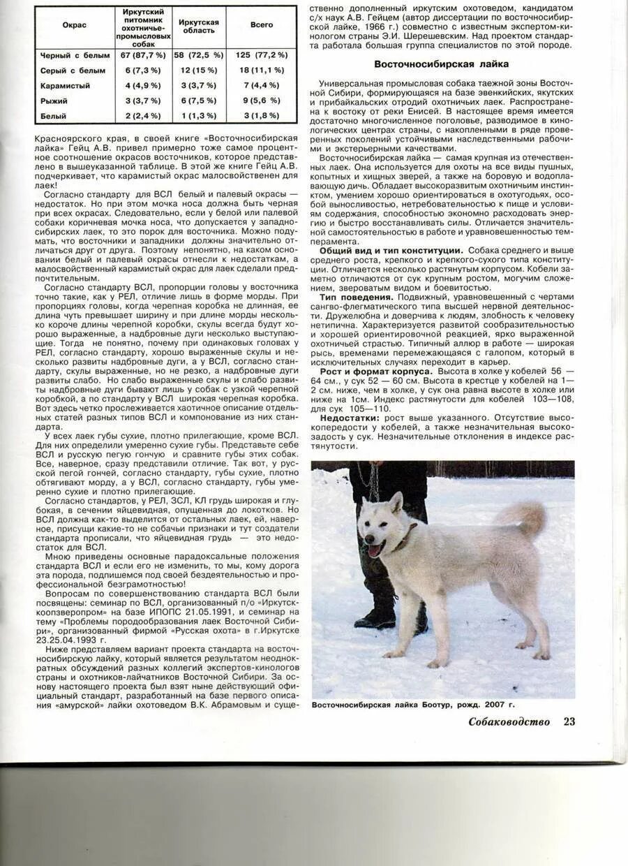 Вес лайки. Стандарт породы восточносибирская лайка. западно сибирская лайка рост в холке и вес. вес восточно сибирской лайки. западносибирская лайка лайка стандарт породы.