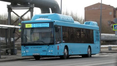 Автобус 203 спб
