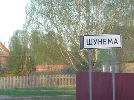 Шунема