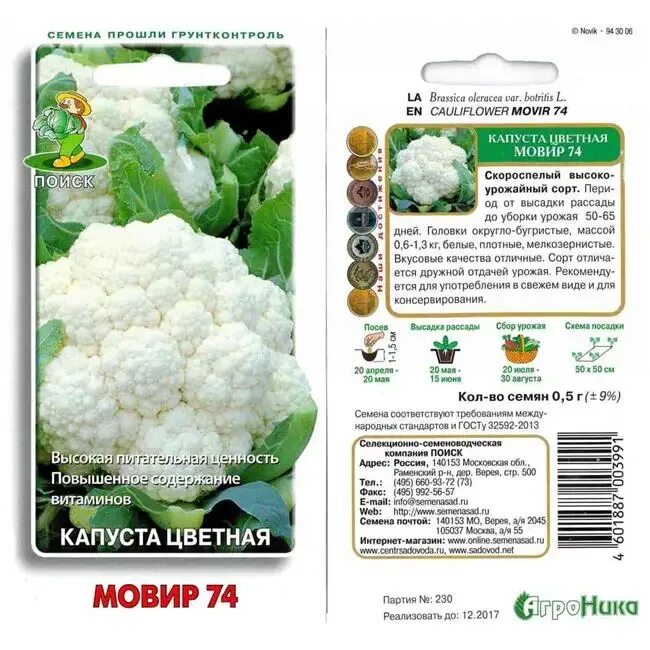 Сорта цветной капусты для открытого грунта. Капуста цветная мовир 74. сорт цветного капуста мовир – 74. скороспелые сорта цветной капусты. капуста цветная мовир 74 характеристика.