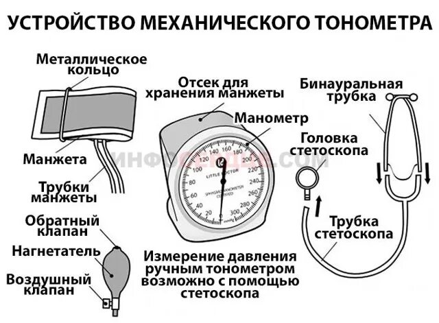 Как называется мерить. Как измерить аж таномеиром. как измерить давление механическим тонометром. строение тонометра механического. манометр для измерения артериального давления механический схема.