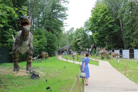 Динозавры в туле в белоусовском парке