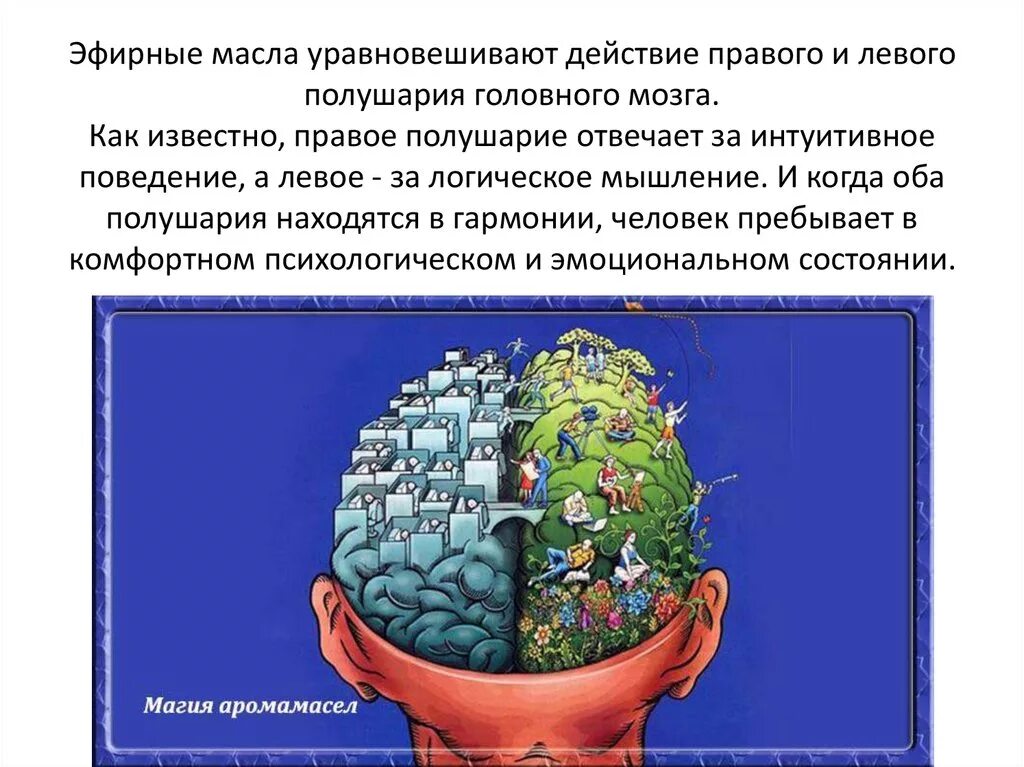 За что отвечает правое полушарие у женщин