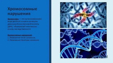 2 хромосома нарушения