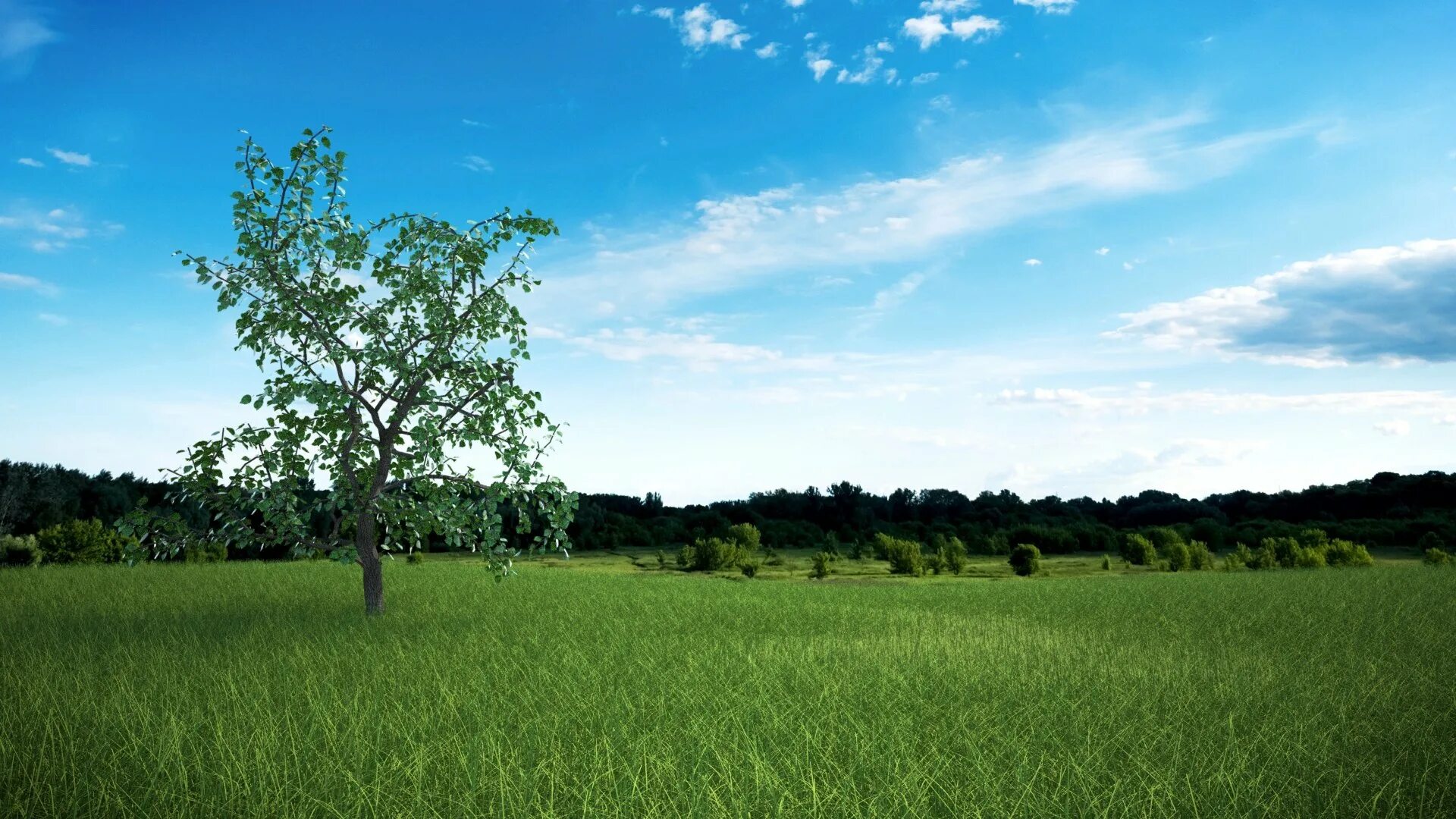 Фон для визуализации архикад лес. Панорама деревья. Панорама деревья. Фон для 3д макс. Деревья на горизонте.