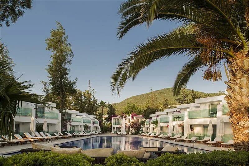 Torba турция бодрум voyage. Бодрум отели торба турция. Voyage torba hotel. Вояж торба бодрум. Вояж торба бодрум отель турция.