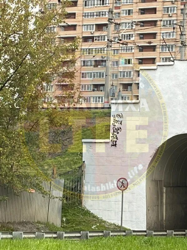 лаборатория жизнь балашиха. ольгинский парк балашиха. жизнь балашиха. владимир город доброе. жизнь балашиха.