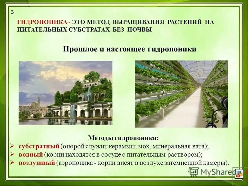 Способ выращивания без почвы как называется. Выращивание гидропонным способом. гидропонный метод выращивания. методы выращивания растений. гидропоника метод выращивания.
