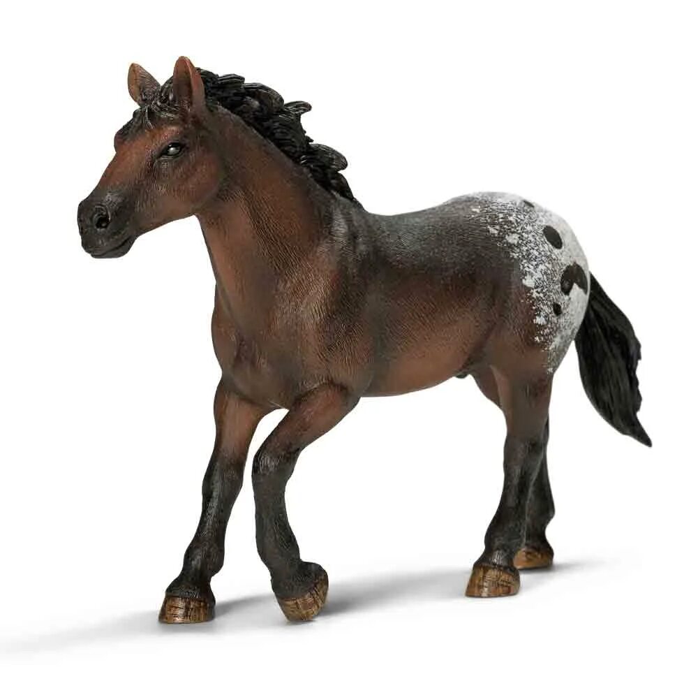Кобылы шляйх. Лошади шляйх аппалуза. шляйх аппалуза кобыла. schleich жеребенок аппалуза. шляйх 13732.