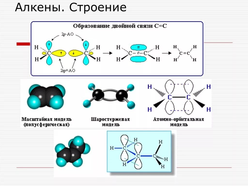 Алкены химическое строение. Строение молекулы алкенов на примере этилена. Строение молекулы алкенов. Пространственное строение Акинов.