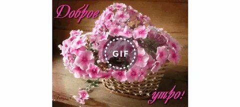 Доброе утро с флоксами