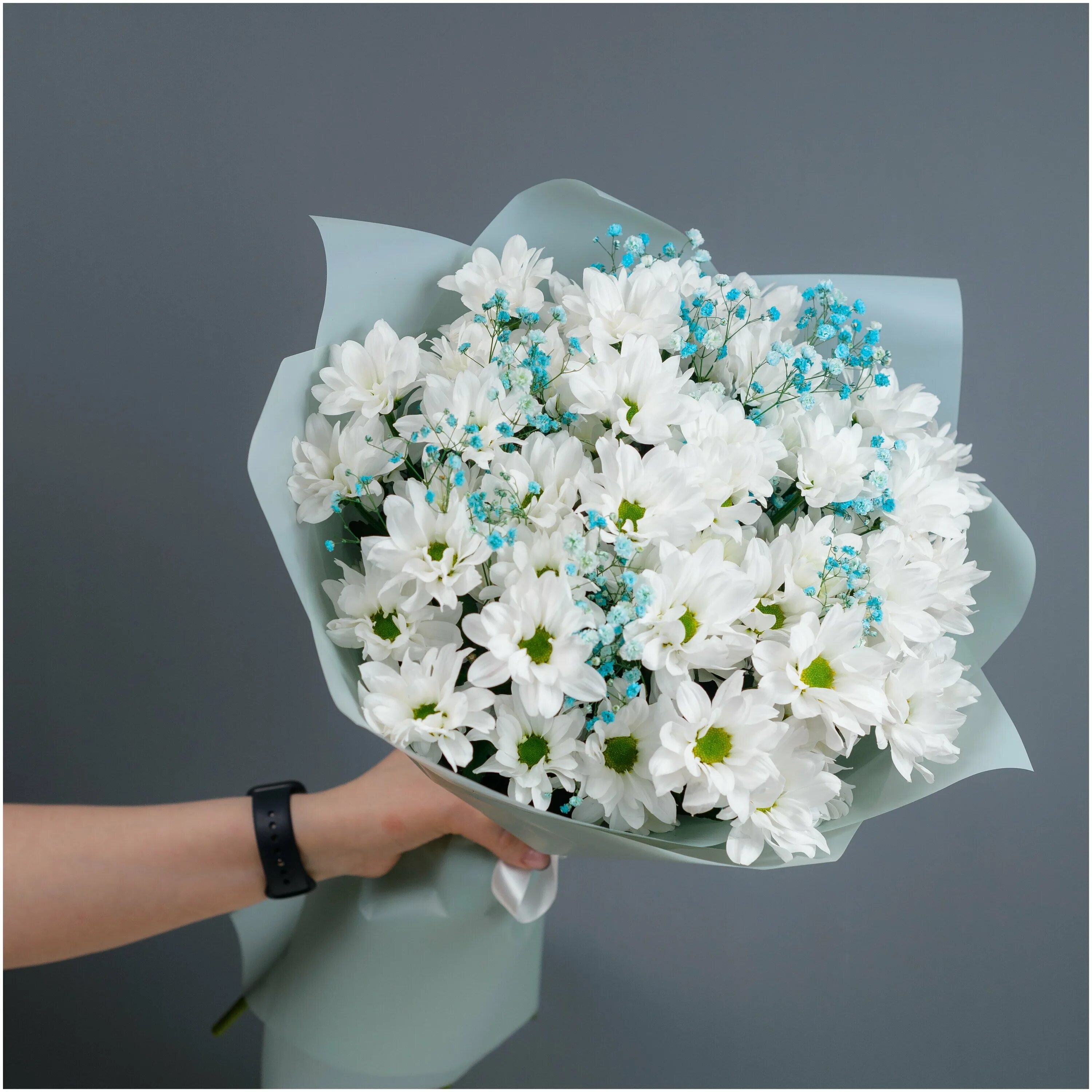 хризантема белая и гипсофилы. гипсофила с хризантемами. хризантема белая и гипсофилы. букет из белой и голубой гипсофилы. белая хризантема и белая гипсофила.