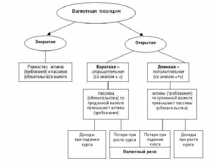 Открытая валютная позиция. Структура валютной позиции банка. Схема валютных позиций. Виды открытых валютных позиций. Открытая валютная позиция банка бывает:.