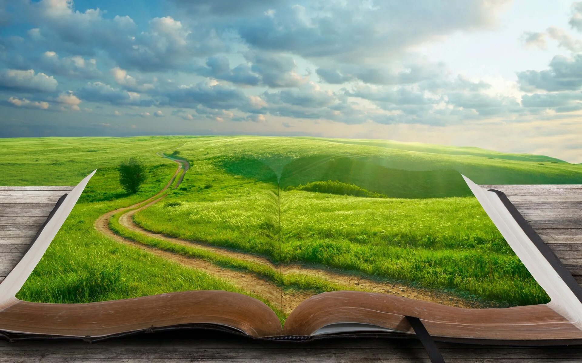 Картинка на страницу. Книга природа. Дорога к счастью. Креативная природа. Дорога жизни.