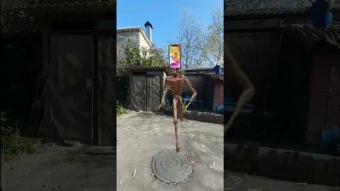 Существует ли сиреноголовый в жизни