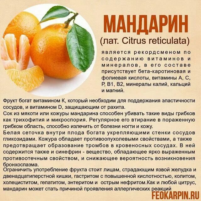 Калорийность 1 мандарина без кожуры