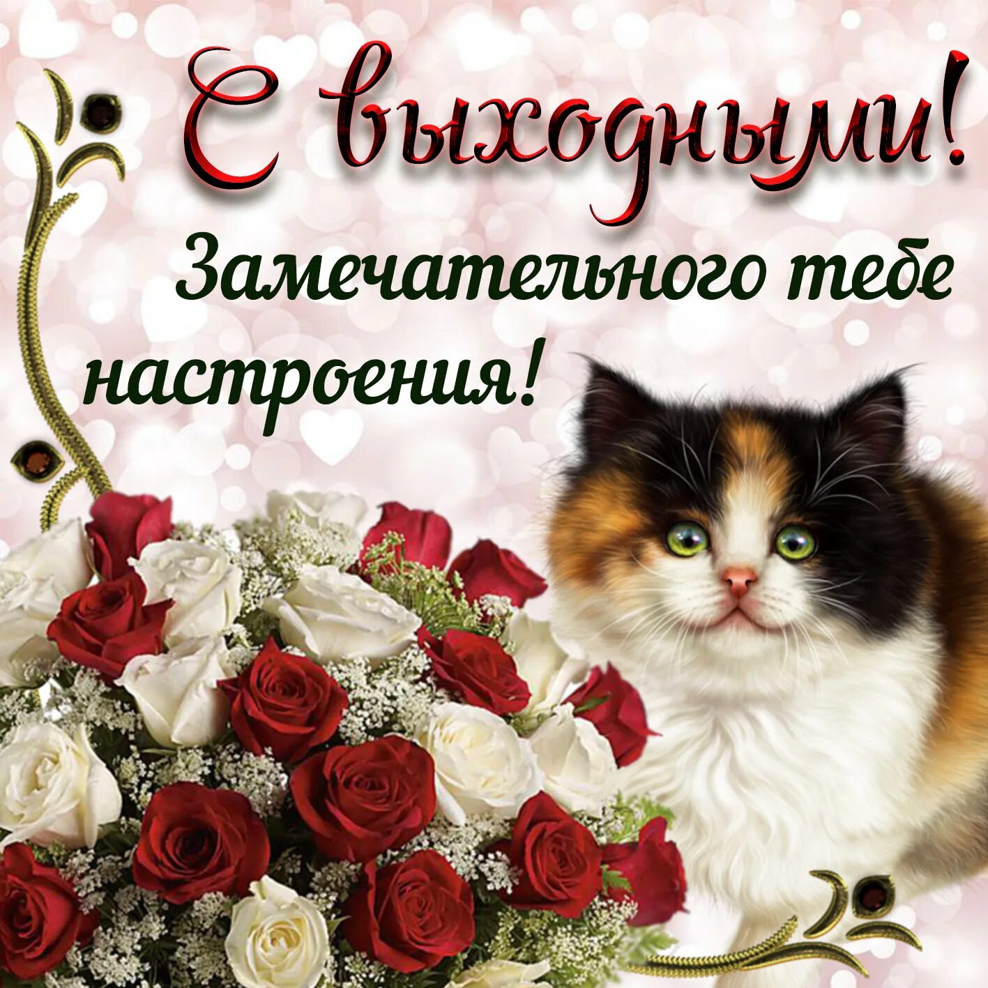 Включи самую хорошую бесплатную