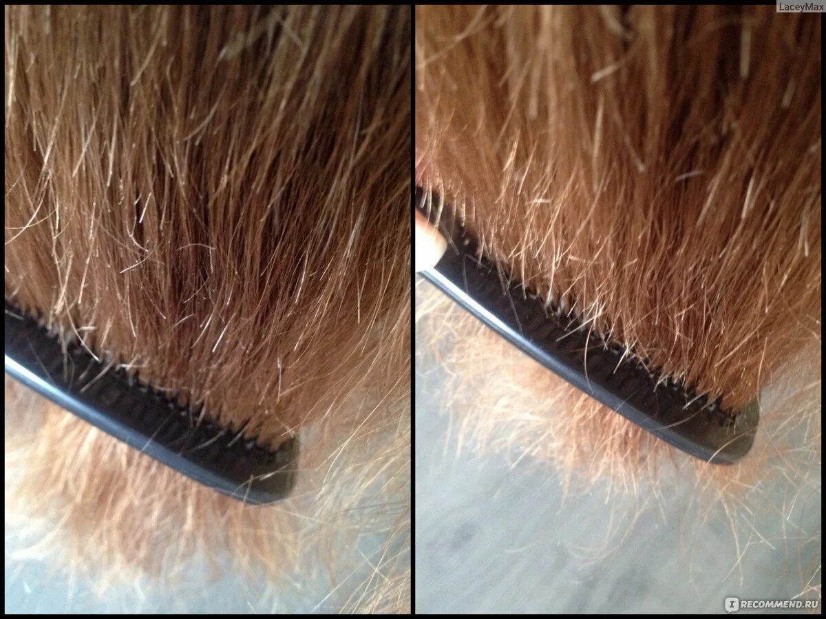 Почему секутся волосы что делать. Сеченые кончики. Посеченные волосы. Посеченные кончики волос. Секущиеся концы волос.