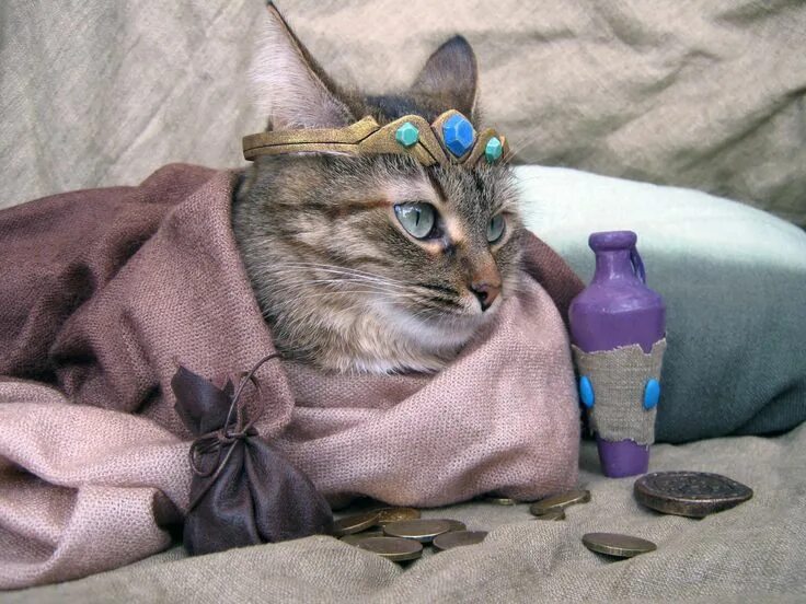 Коты иг