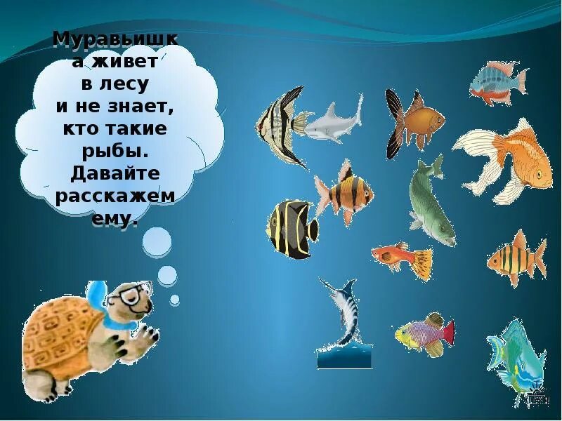 Кто такие рыбы 1 класс окружающий мир. Рыбы презентация 1 класс. Рыбы начальная школа. Рыбы слайд для презентации.