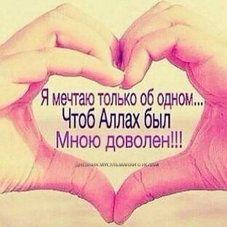 Мы были довольны и им