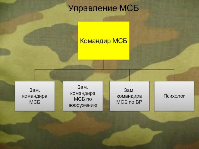 Зам командира взвода. Взвод обеспечения МСБ на БМП. Начальник штаба взвода. Заместитель командира батальона командир учебной роты