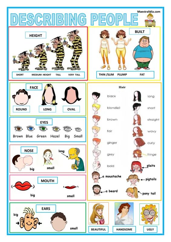 Describing physical appearance. Describing people. describing people 4 класс. describing people speaking cards. describing people ответы.