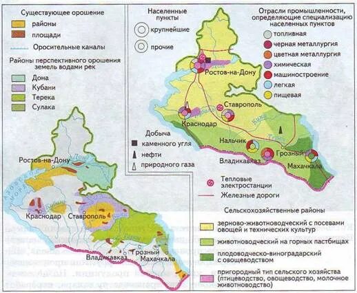 Пшеница европейский юг. Хозяйство европейского Юга карта. Сельскохозяйственная специализация европейского Юга России. Сельское хозяйство европейского Юга карта. Сельскохозяйственные культуры европейского Юга России.