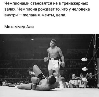 Рассказ про чемпиона